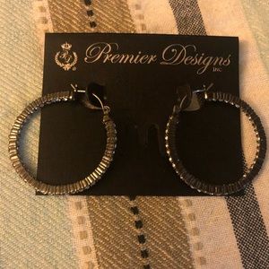 Premier Designs Hoop Earrings